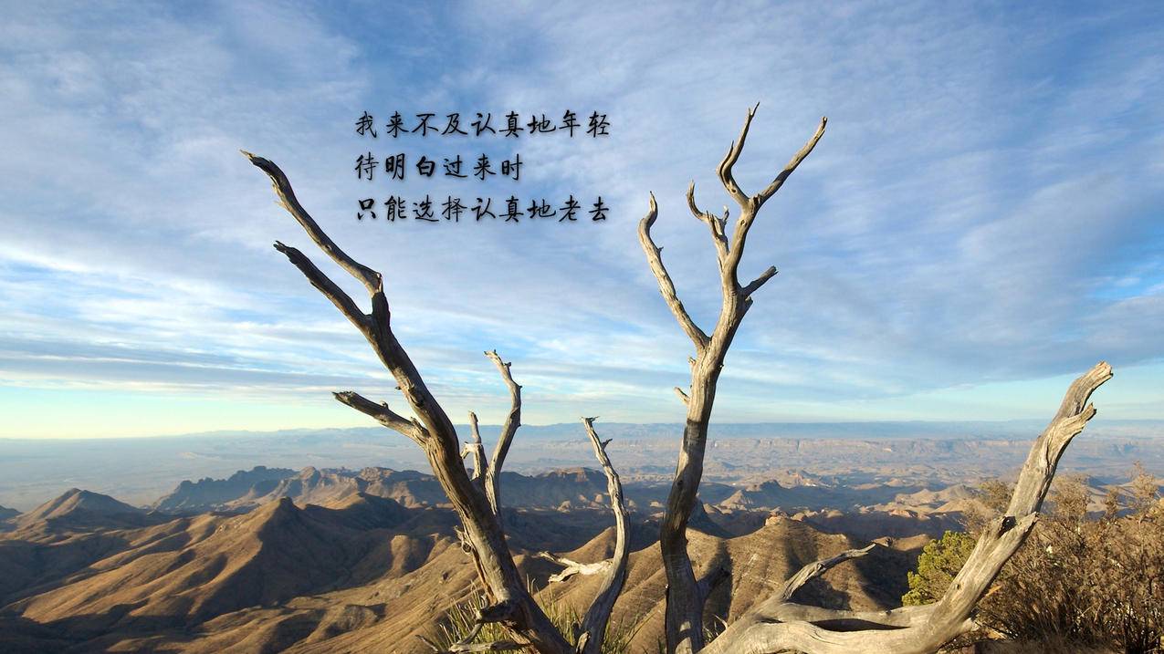 快手官网官网入口 - 图文内容创作技巧-ks买首页推广