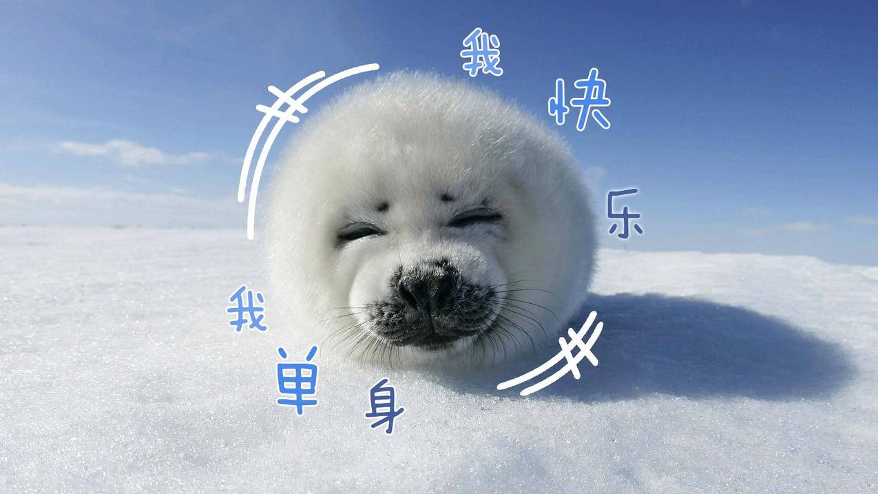 私信互动维护技巧-快手搜索排名提升,平价穿搭作品平台流量扶持,抖音10万浏览量2000个赞,24小时平台自助下单