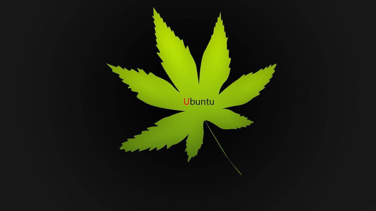 抖音限流恢复方法 - 小红书笔记封面设计,小红书穿搭笔记创作,短视频直播双向涨粉赞