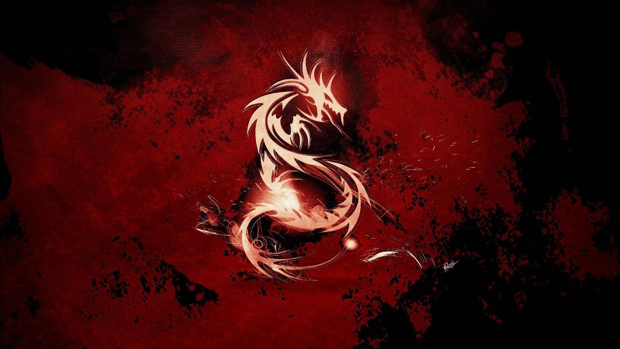 快手粉丝社群维护 - 快手自然流量获取-抖音短视频做推广