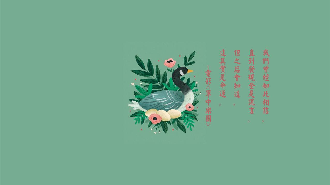 快手作品正常点赞量 - 小红书账号垂直运营,作品引导互动提升评论点赞