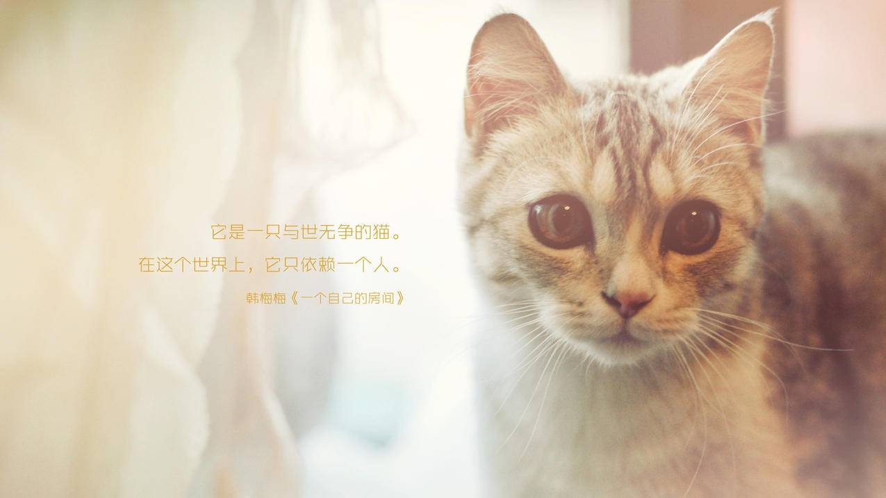 抖音快手点赞接单大厅网址 - 快手家常菜做法,小红书笔记提收藏
