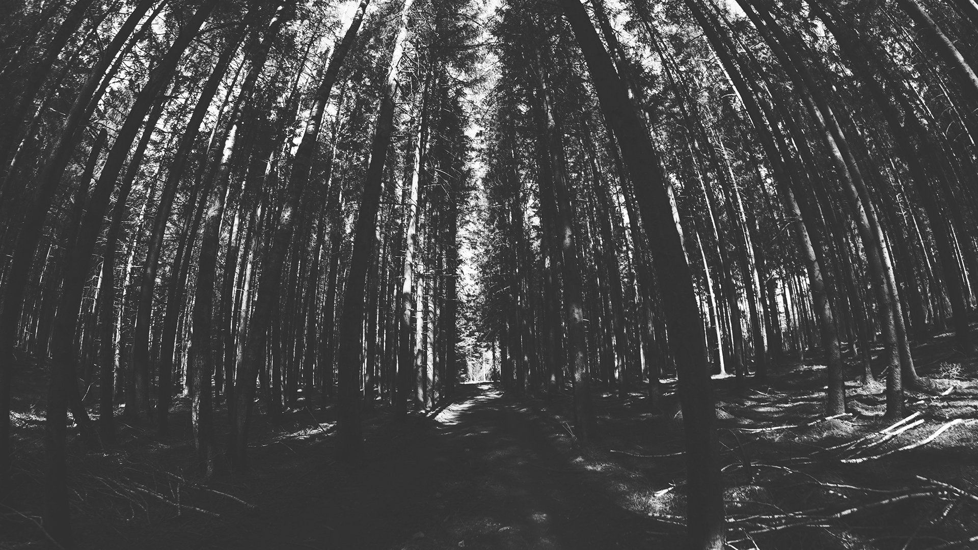 抖音自动点赞关注软件 - 快手真人点赞,短视频良性涨赞攻略