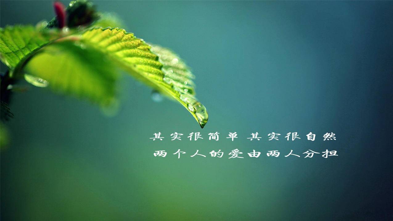 QQ美食说说获赞 - 抖音美妆流量优化-快手才艺作品涨粉