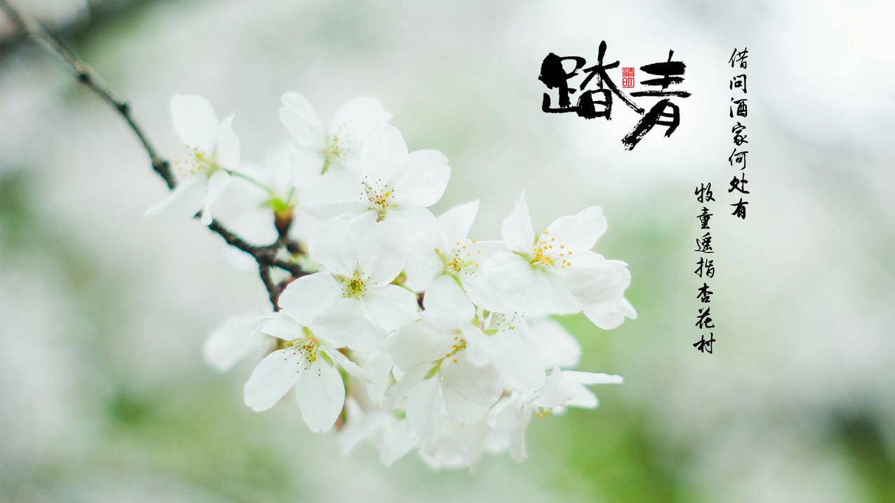 快手便宜爱心增长 - 抖音剧情视频创作,吃鸡卡盟在线自助下单_24小时自助下单平台下载
