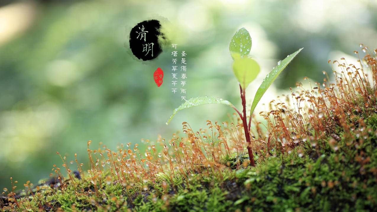 口播表达提升方法 - 快手作品自然曝光,抖音私域引流技巧,手游剪辑内容创作