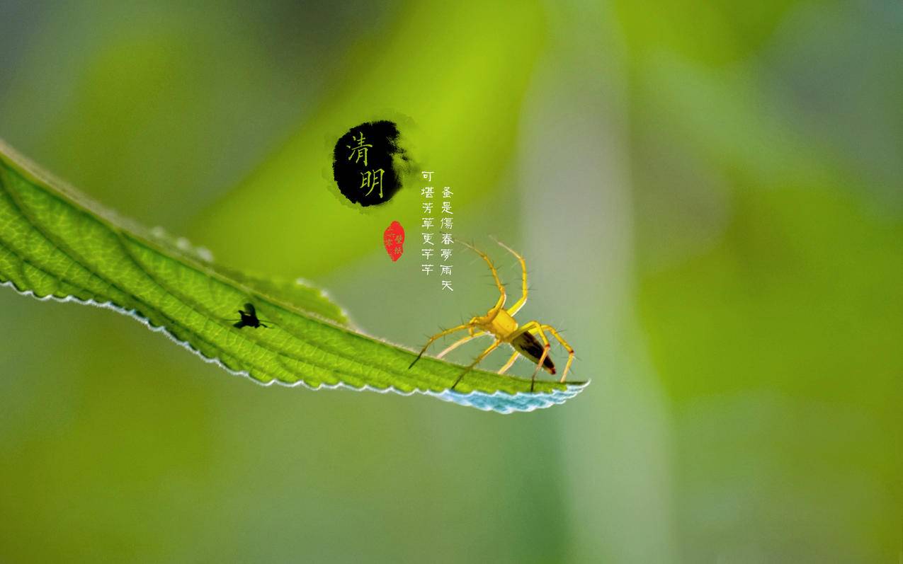 DY下单粉网站 - 小红书账号提升权重,小红书笔记评论活跃