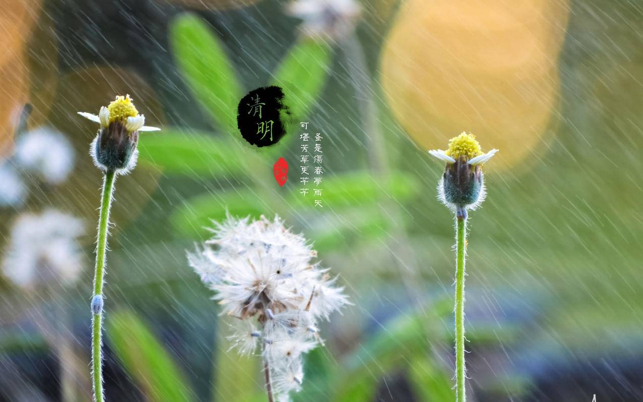 抖音账号粉丝沉淀 - QQ空间粉丝维系-社交平台免费攒赞法