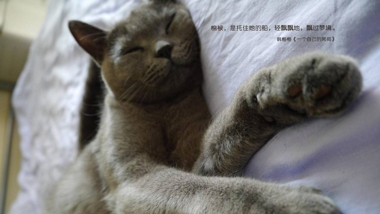 来购卡盟 - 抖音关键词做布局,抖音直播内容聚粉,全网最低价和平精英小号网站