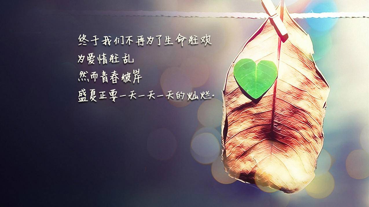 爱球球业务下单平台 - ks视频去水印,私信互动维护技巧,QQ日常说说增赞