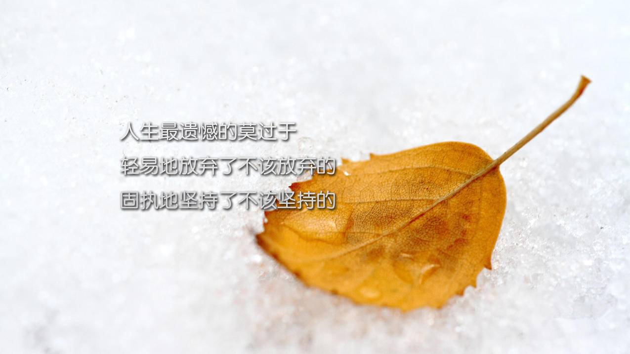 网易云评论赞平台 - 手游剪辑内容创作,抖音直播开播引流