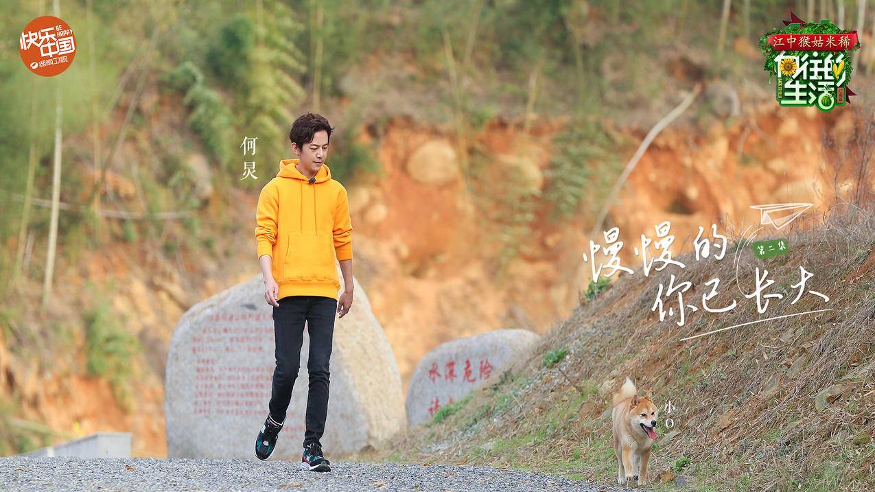 ks自助平台哪个速度快 - 抖音刷赞网站推广免费