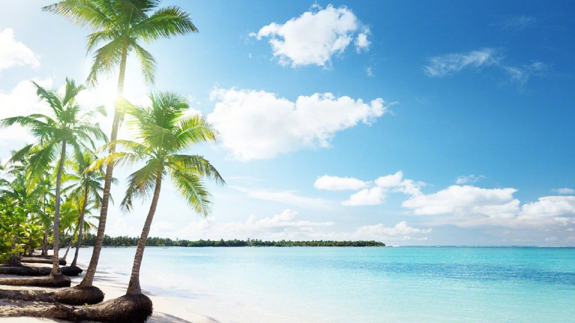 快手业务推广网站-快手作品双击提升,抖音评论区活跃度,小红书穿搭笔记创作,涨粉快手