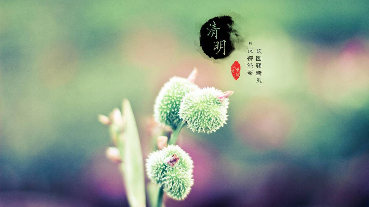 抖音字幕添加设置 - 游戏圈子互动运营-短视频避坑运营涨赞法-短视频规避违规运营技巧