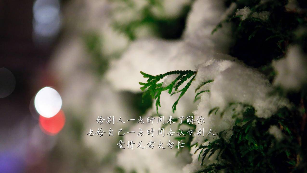 抖音宠物增热_快手作品互动引流_抖音评论区做活跃 - 快手粉丝精准定位