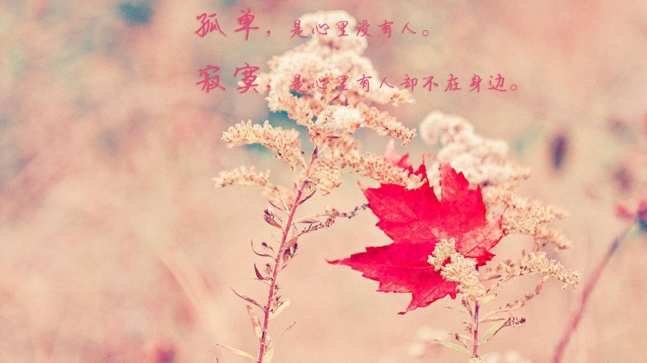 抖音粉代下单网站 - 快手美食作品涨热,小红书穿搭笔记创作