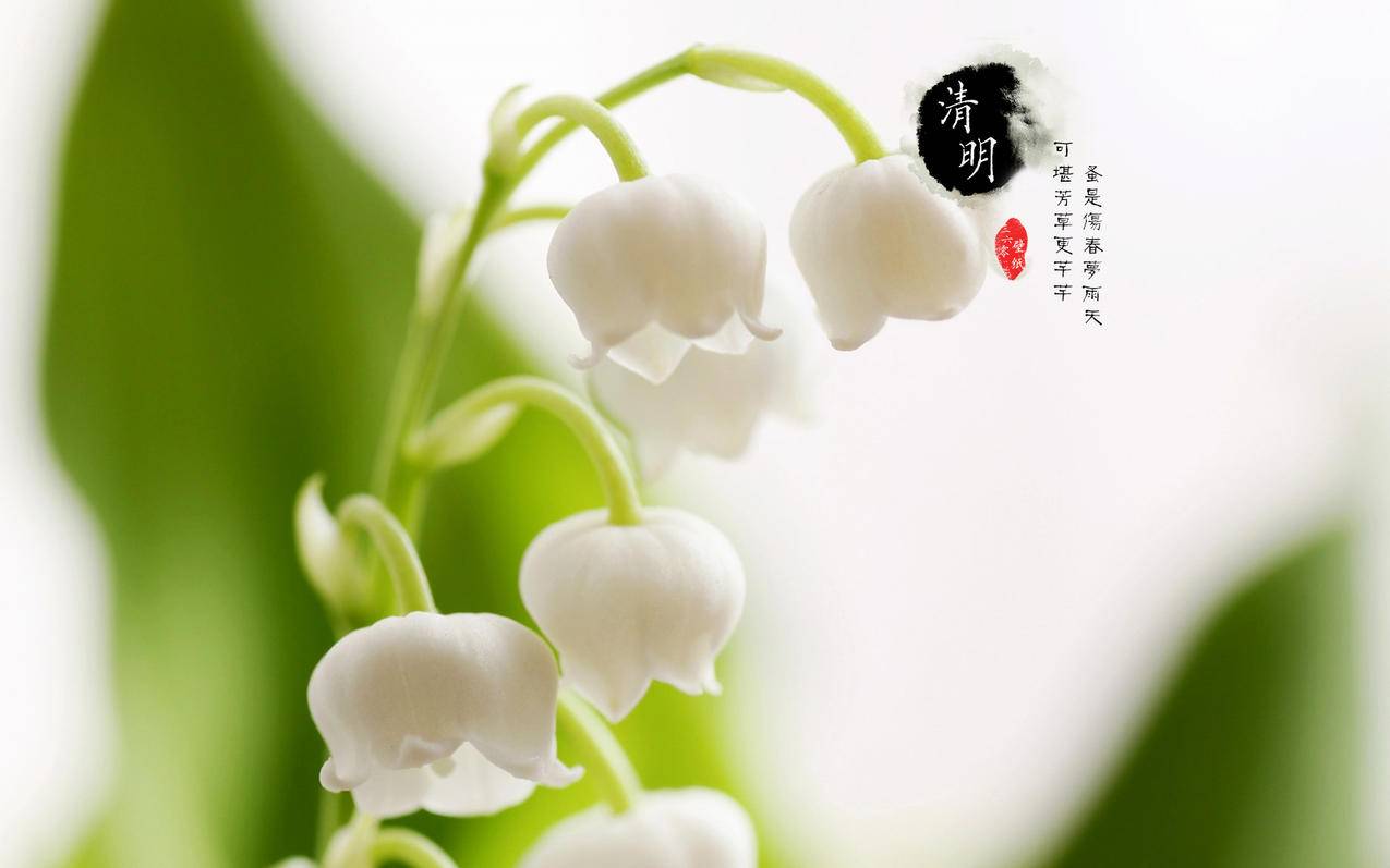 黑白卡盟_抖音素材无水印_抖音剧情视频创作 - 吃鸡日常内容分享