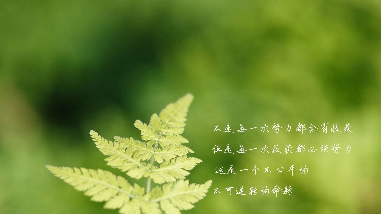 买快手僵尸粉网站 - 快手兴趣流量获取-抖音科普视频制作