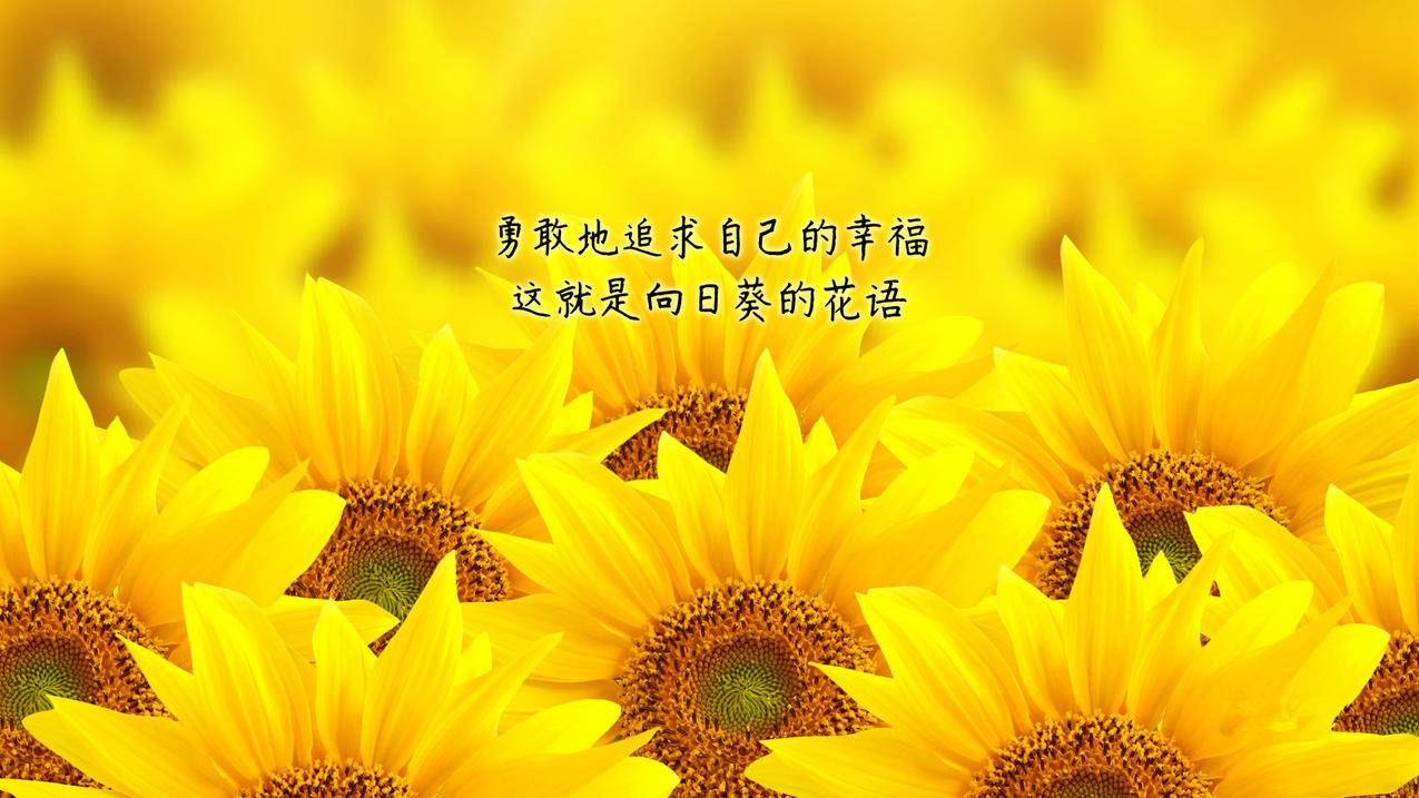 直播间稳定在线人数法 - QQ空间游戏日常记录,快手同城作品涨赞方法,美食制作短视频高赞创作法