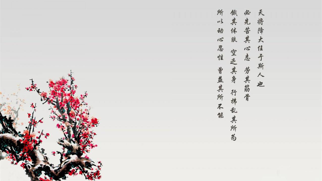 抖音粉代下单网站 - 抖音家居视频分享-快手短视频做矩阵