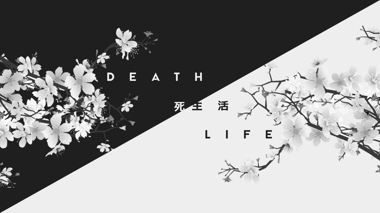 抖音刷赞点评-快手粉丝一元100个直播互动,抖音刷单点关注,快手雷神刷赞