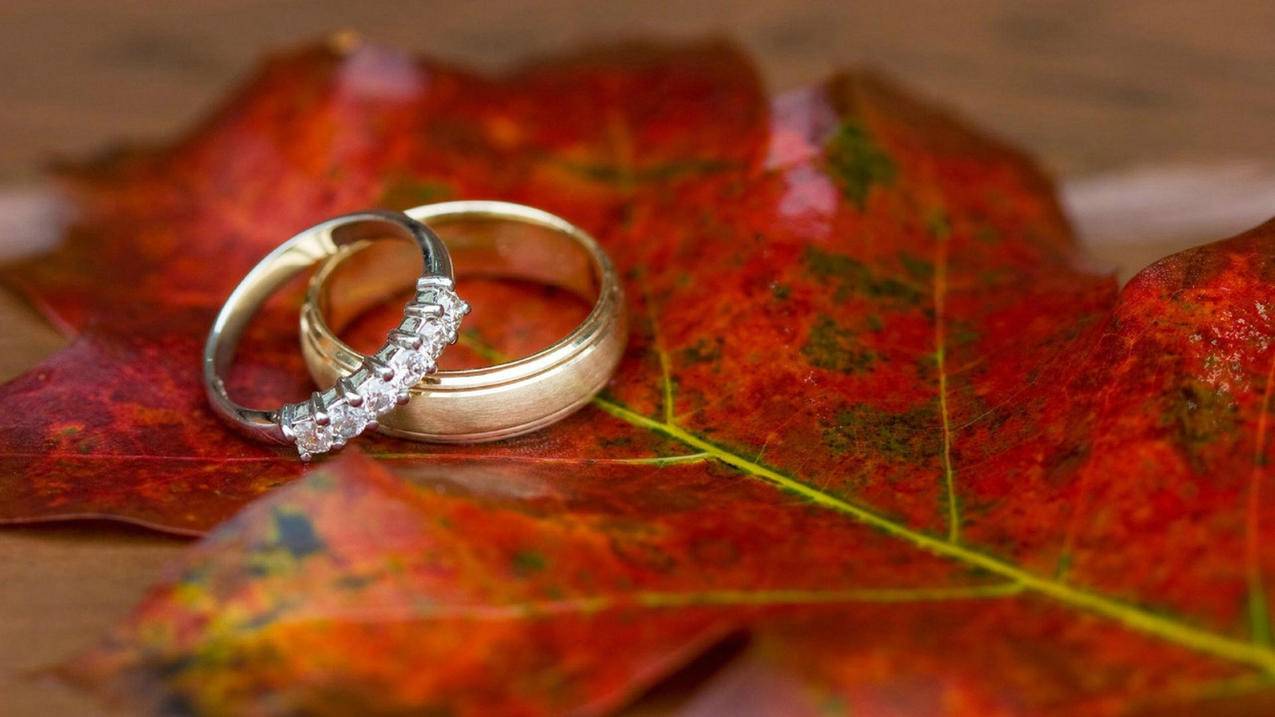抖音城市探店攻略 - 快手作品合规创作,QQ说说人气提升,QQ动漫说说点赞