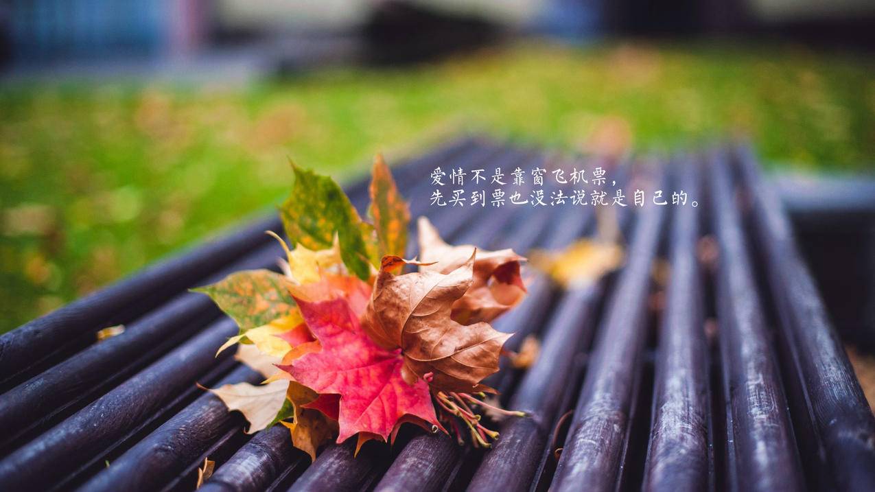 快手直播粉丝维系 - 快手古风作品分享,QQ空间好友互动维护