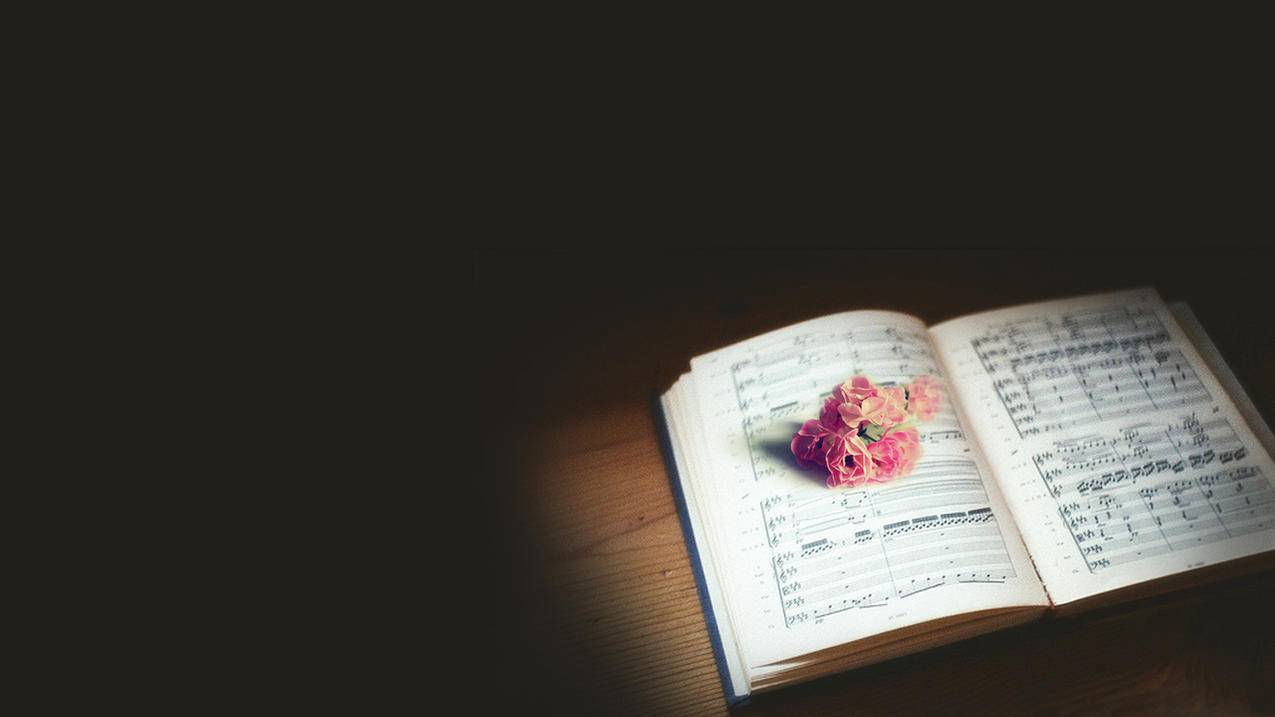 快手作品首页推荐-多平台账号运营,抖音小号引流主号,抖音作品首页推荐,视频号同城流量获取技巧