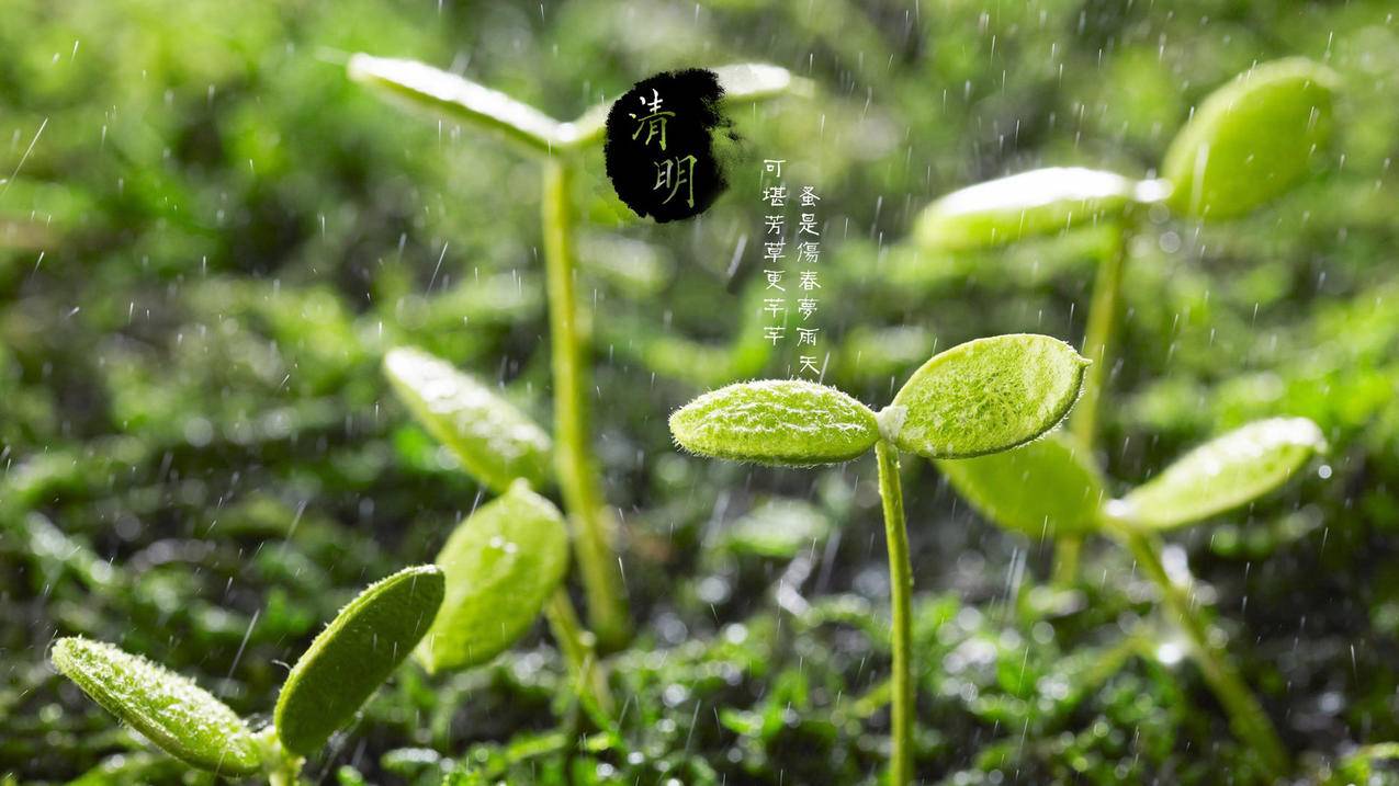 快手24小时自助推 - 抖音粉丝互动维护_生活日常短视频创作技巧