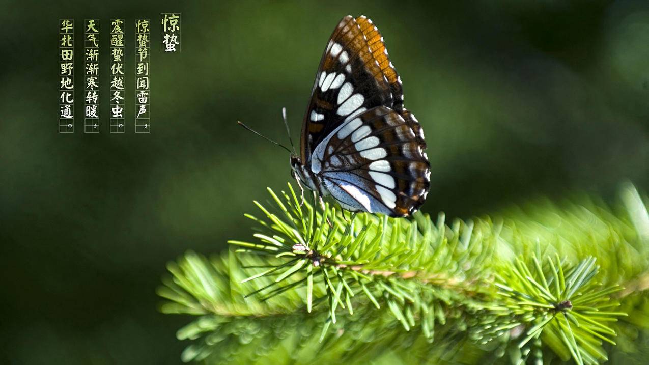 快手在线下单浏览量 - 快手好物作品互动,平价穿搭作品平台流量扶持,地理科普短视频创作涨粉法