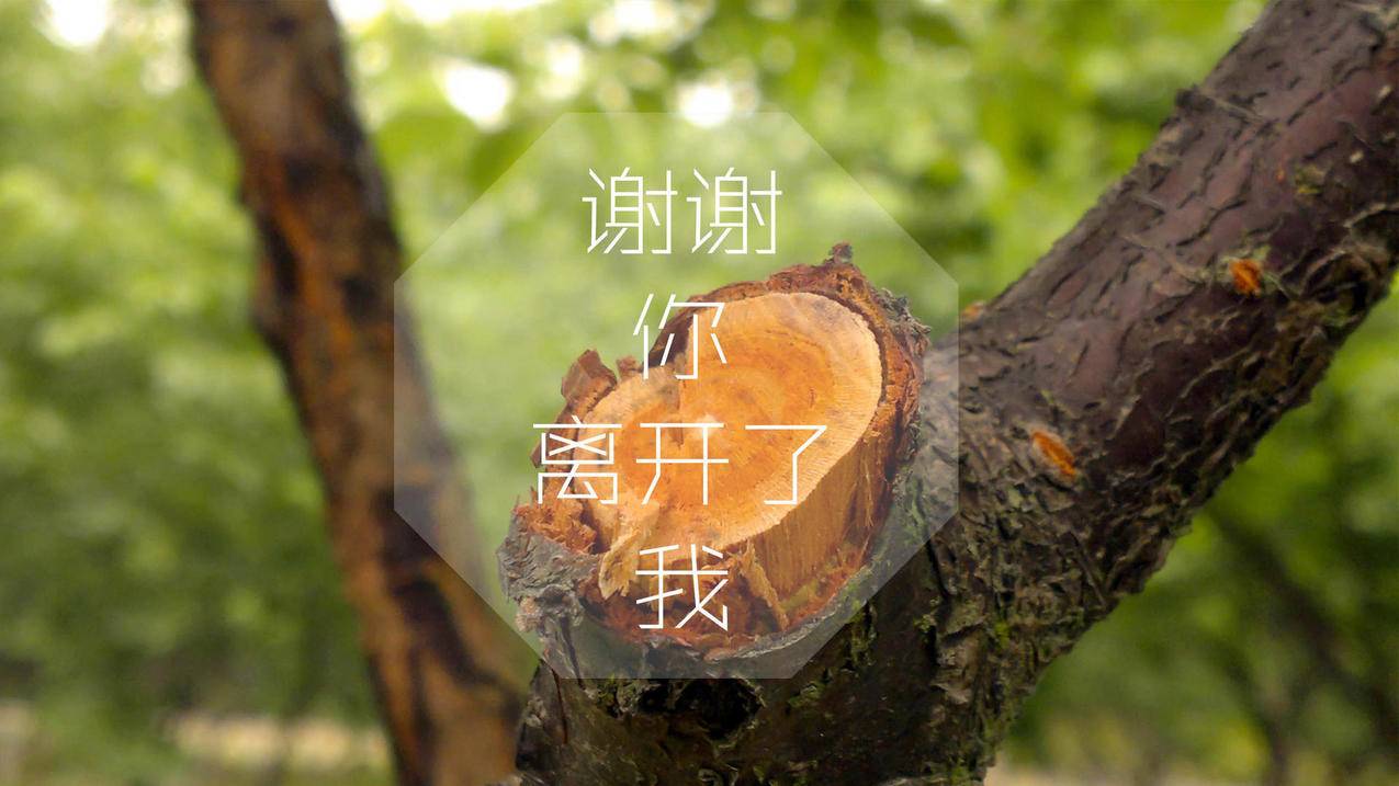 抖音为了涨粉要不要互相关注_抖音视频封面设计_快手直播在线人数 - QQ说说浏览量增加