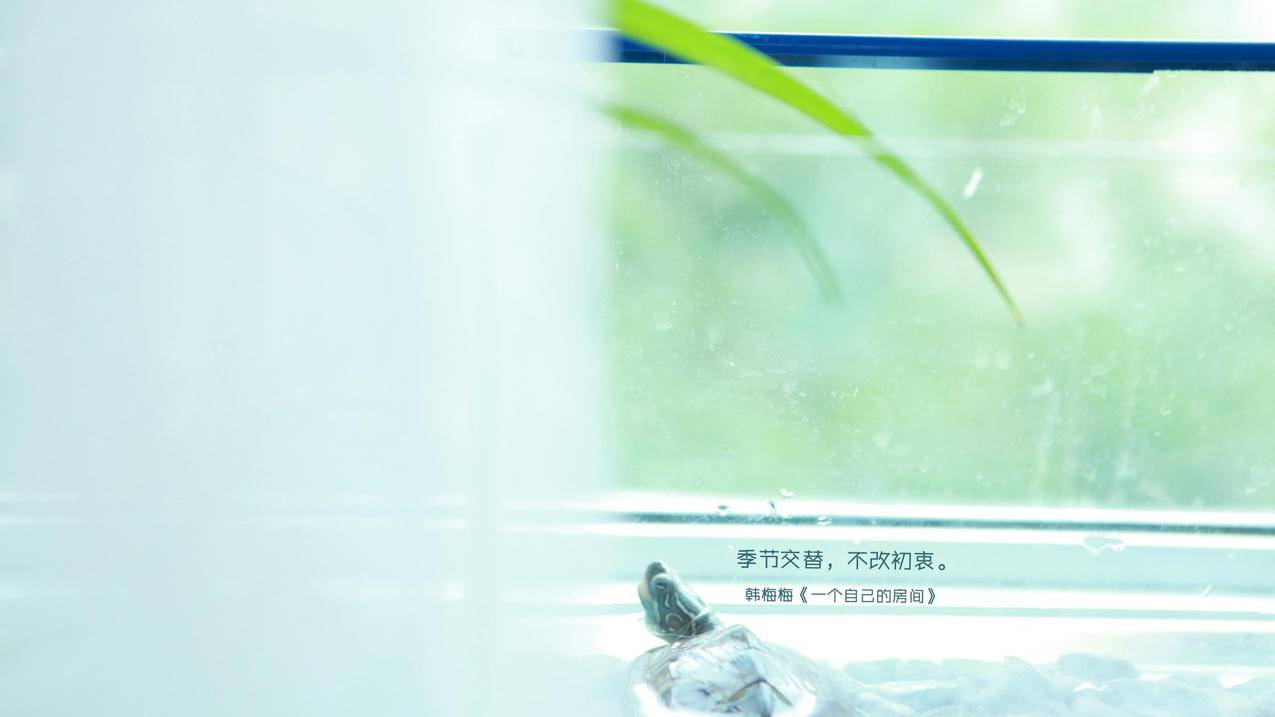 抖音怎样涨粉快一些 - 快手装修内容创作-快手账号活跃维护-快手粉丝社群维护