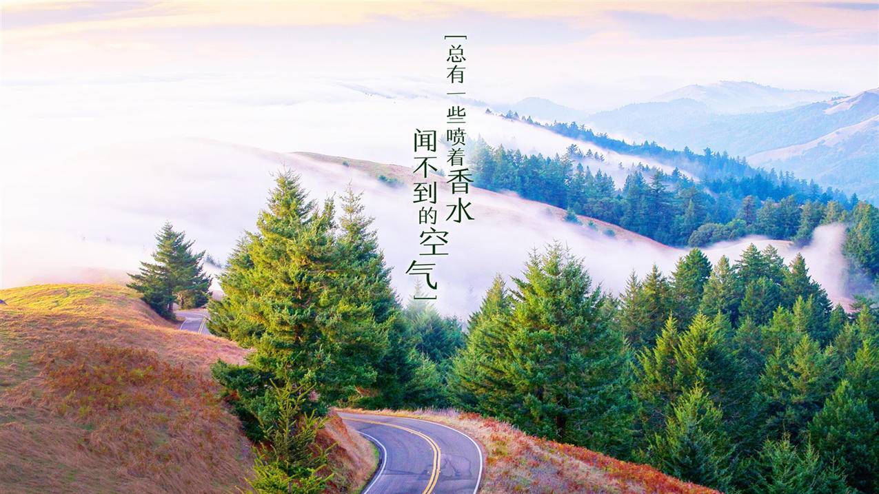 直播人和实名认证的人不一样-ks视频去水印,快手短视频做曝光,QQ账号互动提升人气
