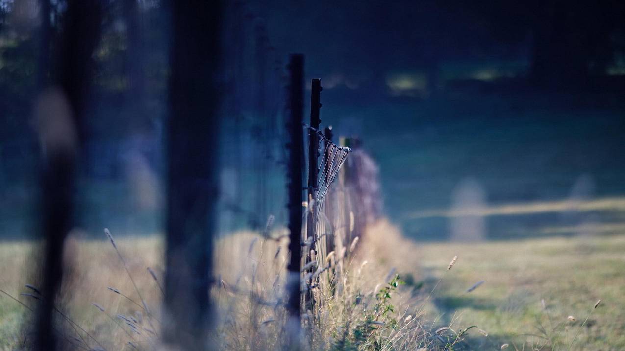 王者英雄攻略创作 - QQ空间相册流量提升,抖音拍摄运镜手法,QQ空间动态涨赞