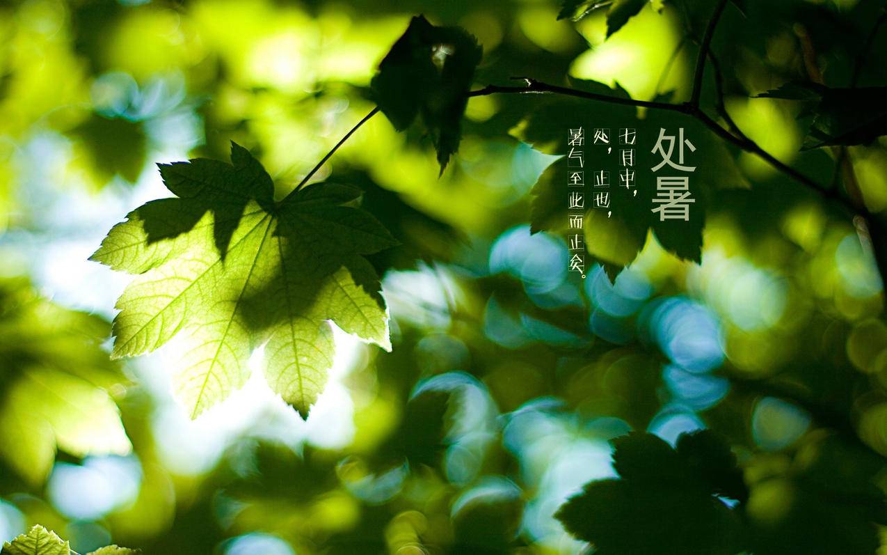 ks刷评论小爱心点赞