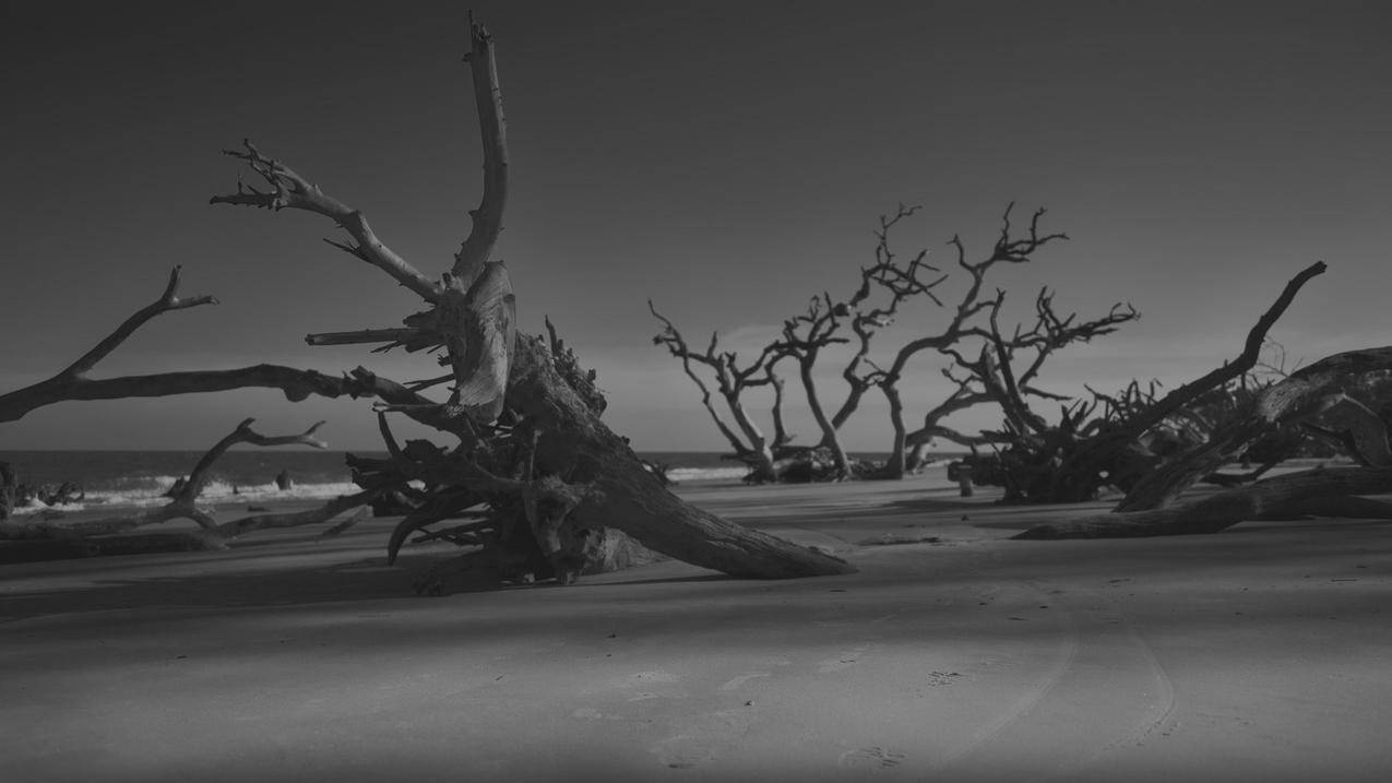 下单抖音粉网址,抖音作品流量来源,快手优质内容轻松获赞-学生好物分享作品涨流量