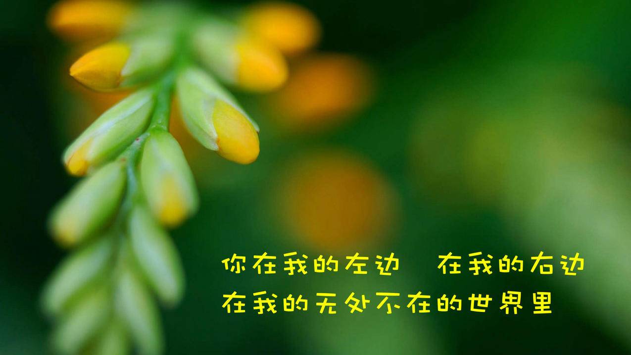 QQ说说人气提升 - 快手萌娃作品创作,国风作品短视频平台扶持法,微视平台