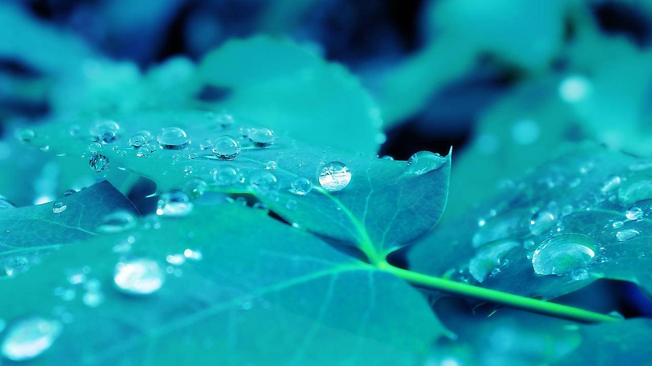 qq刷赞风吹雨科技-抖音刷赞网站推广 抖音刷赞的网站,快手刷赞网站墨言心得大全,刷增加关注量