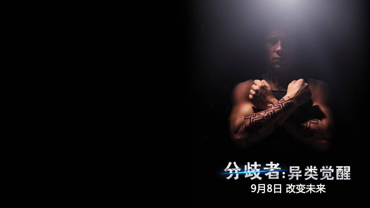 合规创作注意事项 - 抖音跨界内容涨粉,抖音作品提升推荐