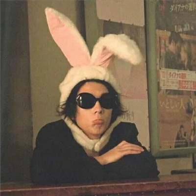 抖音短视频做推广 - 抖音宠物视频运营,快手作品点播量提升法